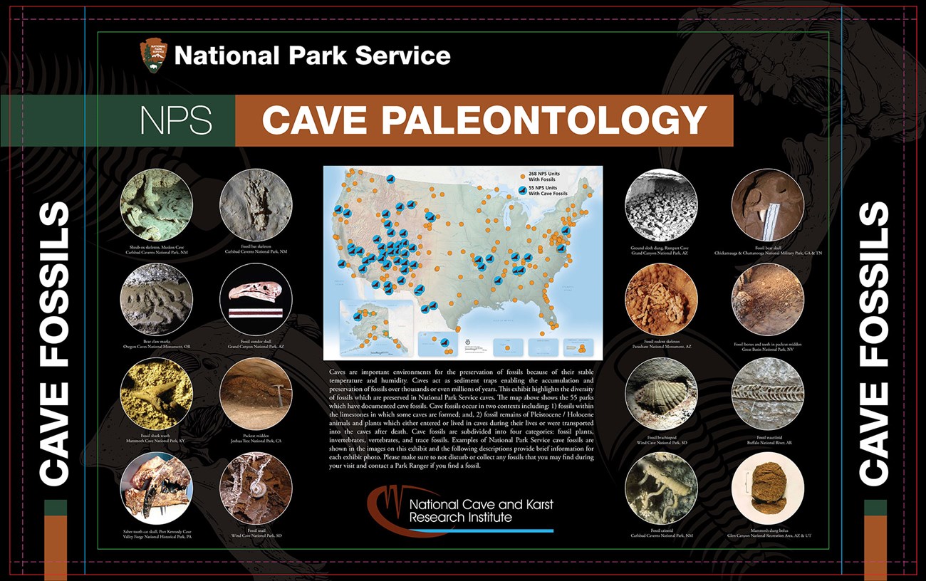 A new exhibit featuring NPS cave fossils will be on display at the National Cave and Karst Research Institute in Oct 2018. The exhibit includes a map showing the parks, with photos, which have documented cave fossils.