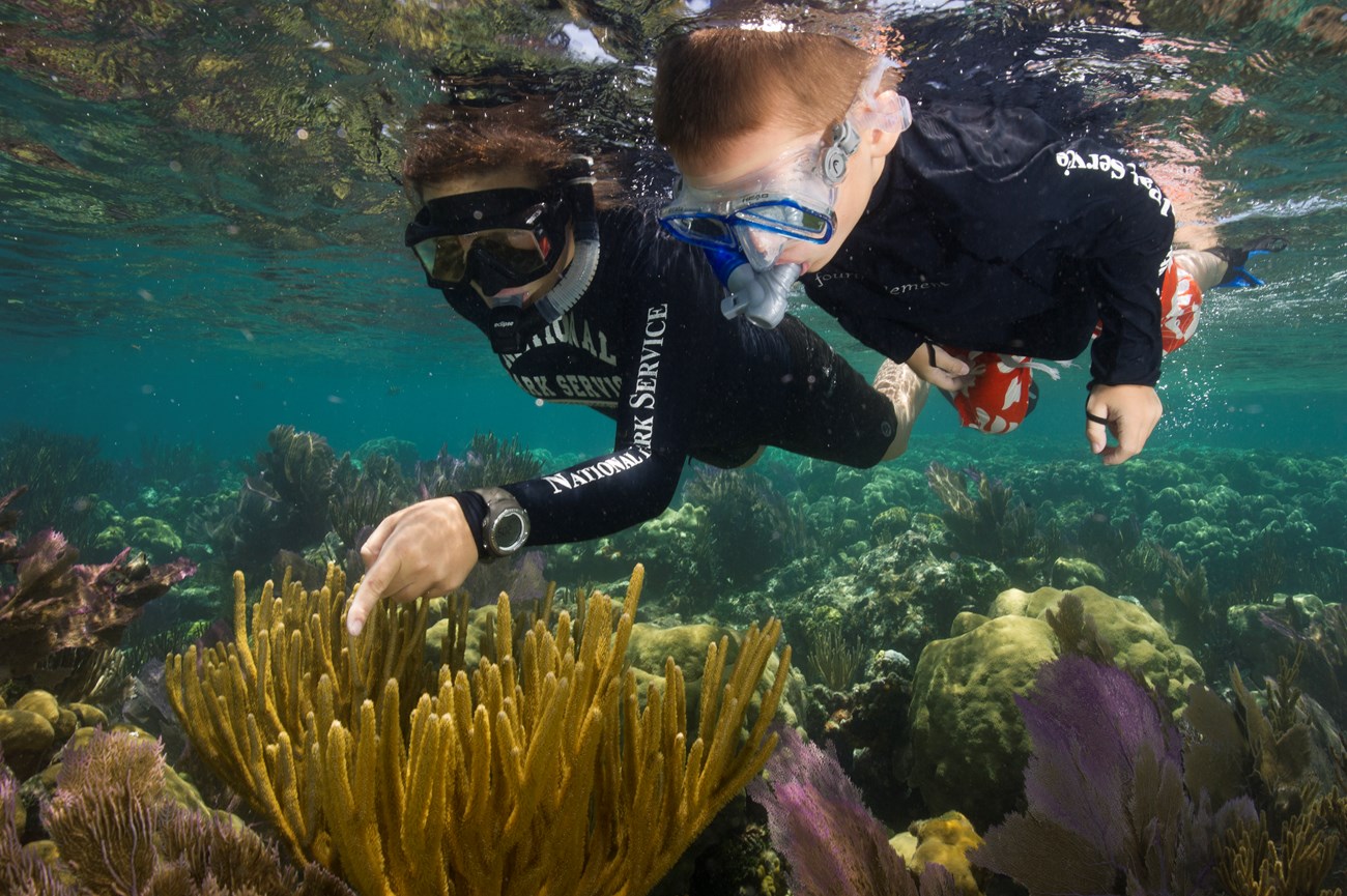 Ranger and kid snorkeling over a reef