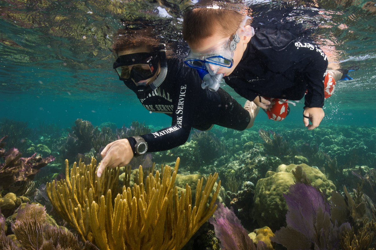 NPS Snokeling NPS Brett Seymour Ranger and kid snorkeling over a reef