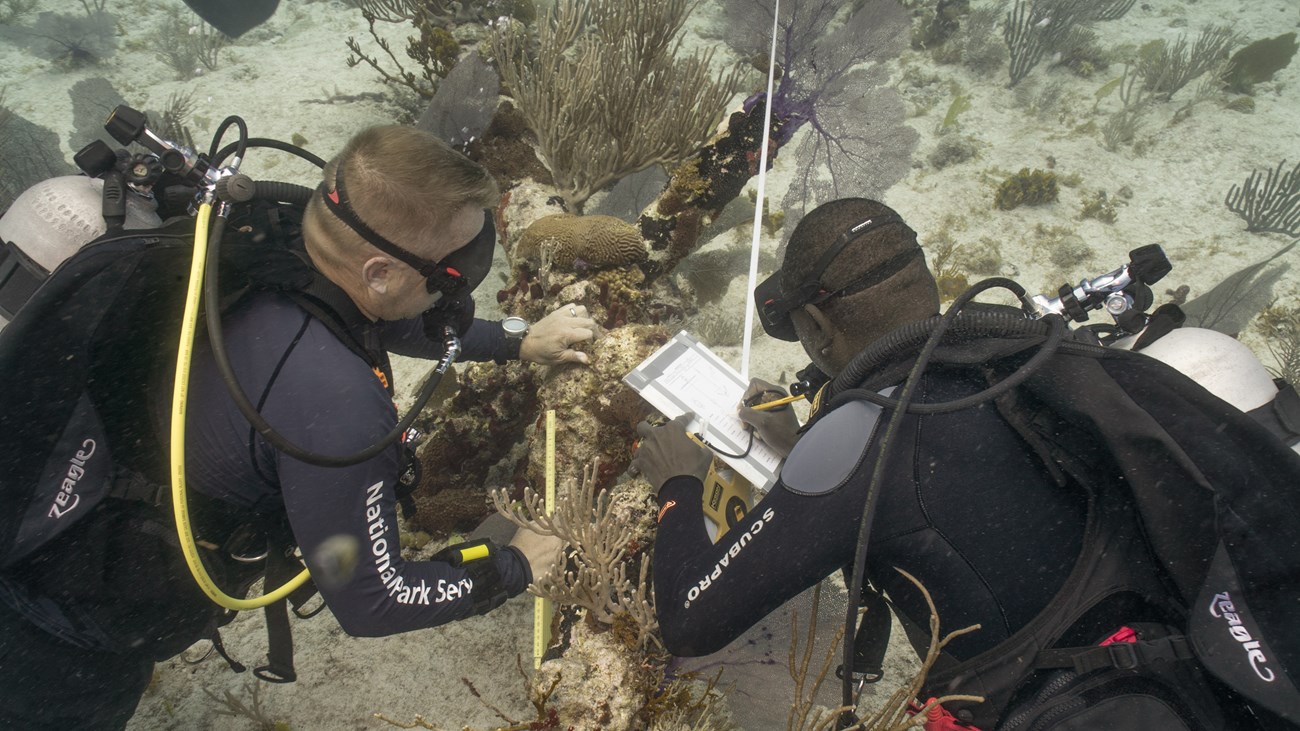 Documenting an anchor underwater Two SCUBA divers looking at things underwater