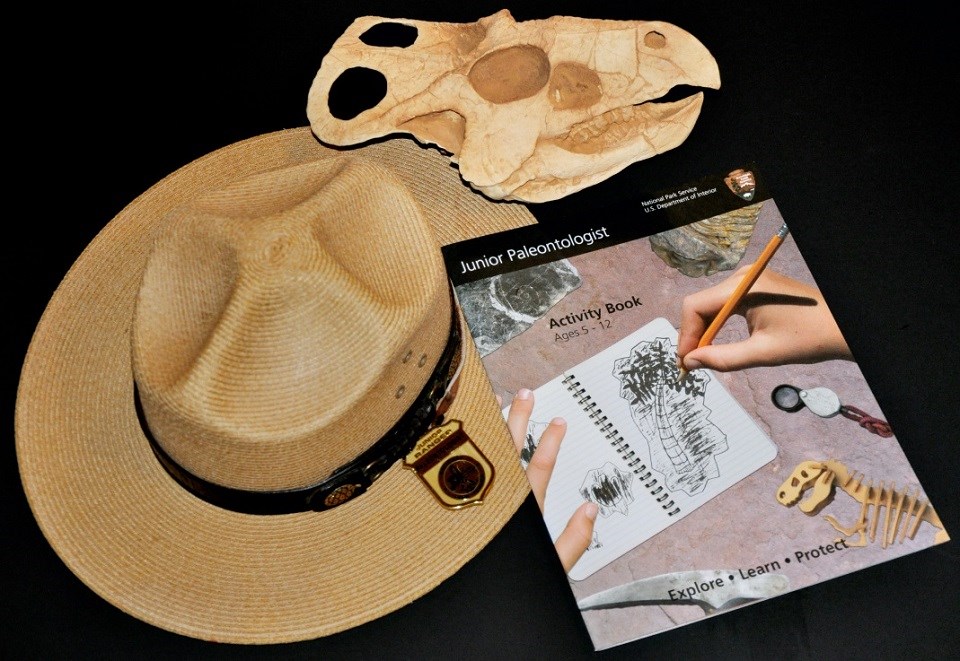 Ranger hat, Junior Paleontologist badge and booklet, and a replica of a fossil skull