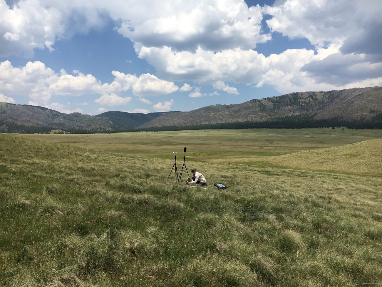 A National Park Service acoustic specialist installs sound recording equipment in the expansive, lush green grasslands of Valles Caldera National Preserve.