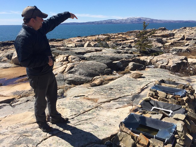 Scientist standing on rocks on the shoreline of Acadia National Park gestures to rock pools used in studies on biodiversity.