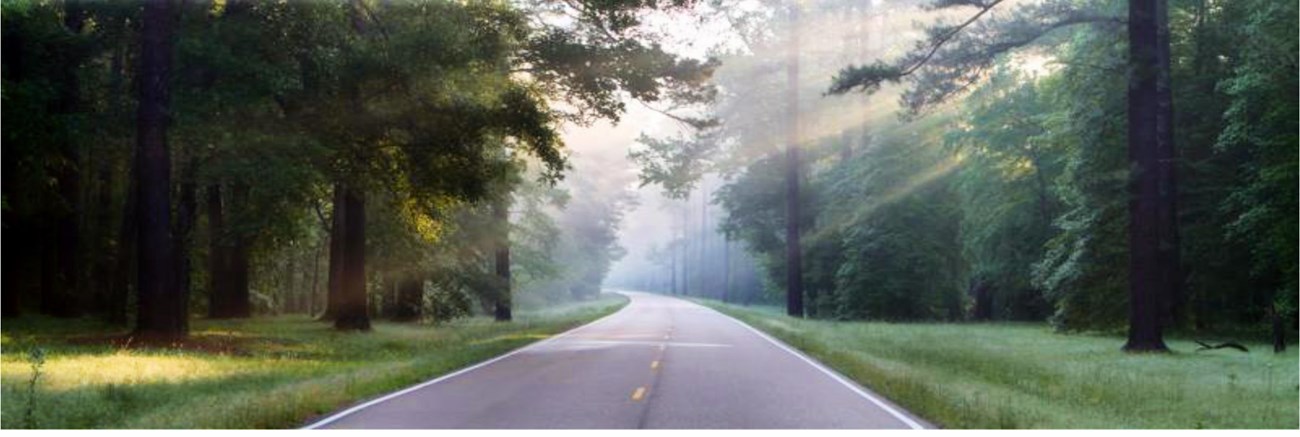 Natchez_Trace_Parkway-02_2016 The Natchez Trace Parkway winding through the trees with rays of sun shining on it