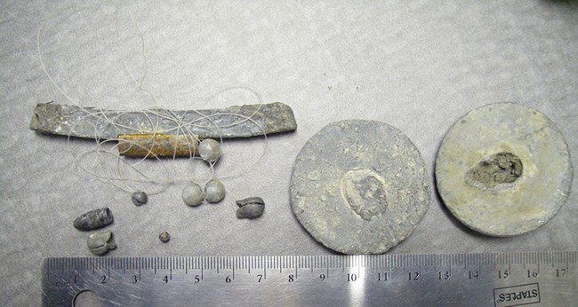 Lead items found in and around eagle nests.