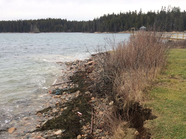 eroding bank into the ocean