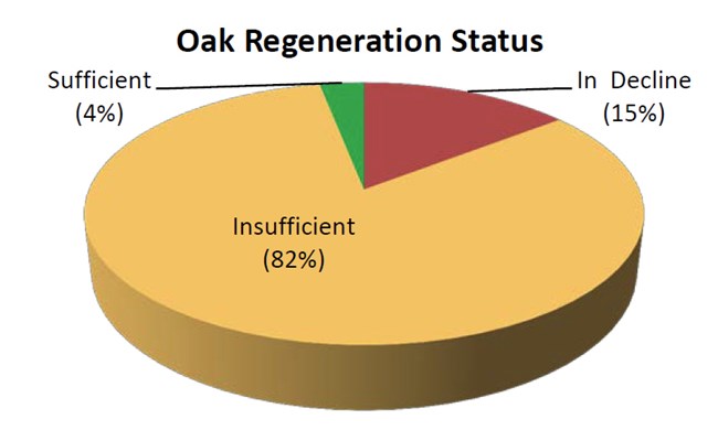 Pie chart of the oak regeneration status in 131 oak-dominated forest plots showing that there is insufficient regeneration in 82% of plots.