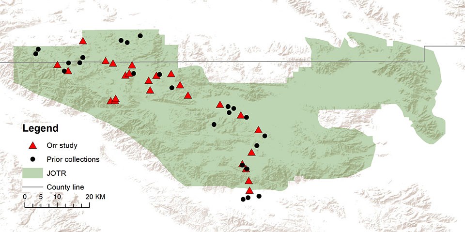 A map of joshua Tree National park with black triangles and red circles throughout