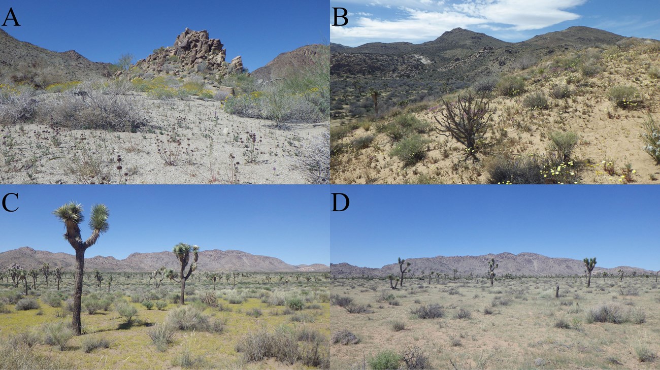 Four landscape images of places in JOTR where sampling occurred.