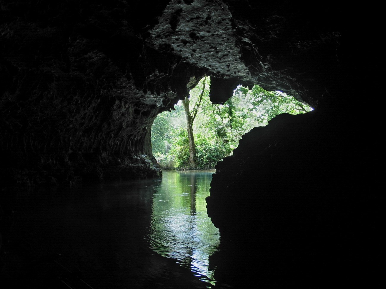 A dark cave opens into a river surrounded by greenery.
