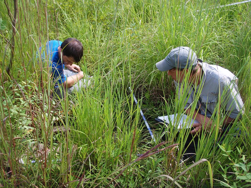 Collecting vegetation monitoring data from a riverscour prairie Two people sitting on the ground, examining a vegetation monitoring plot and recording data