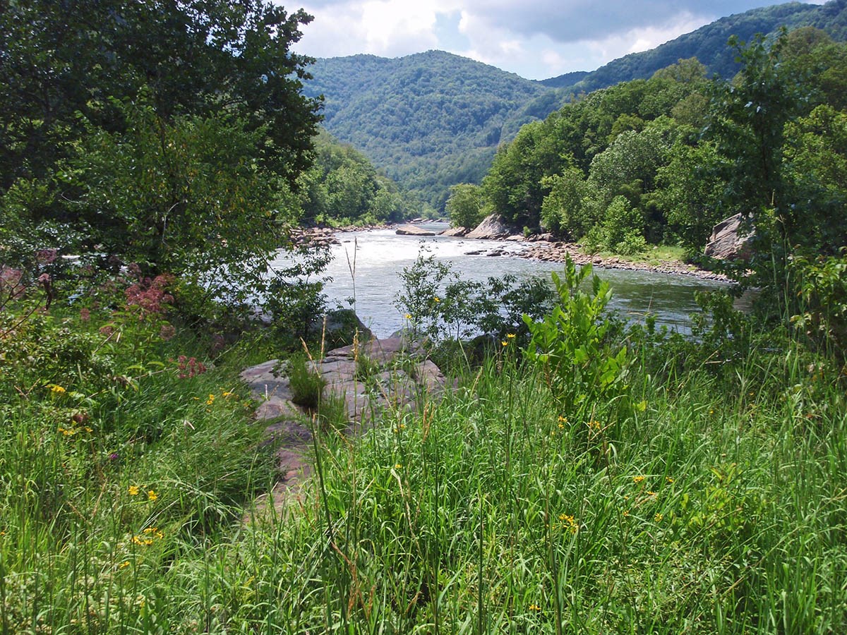Riverscour Prairie in New River Gorge Diverse riverscour prairie vegetation alongside the New River