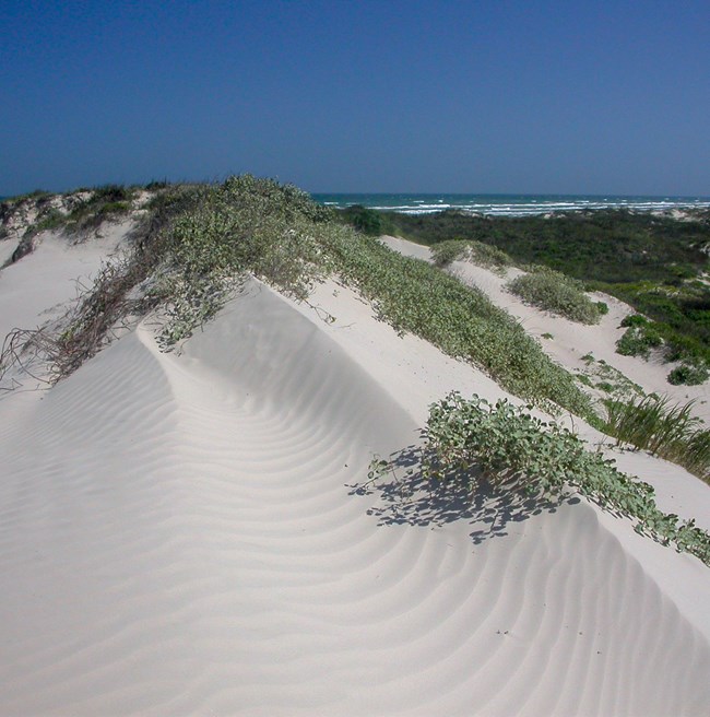 sand dunes