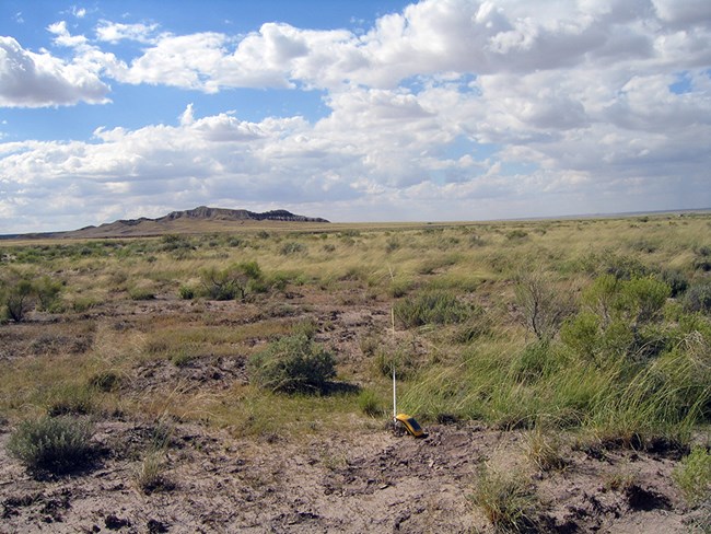 Monitoring tape running through an expansive grassland