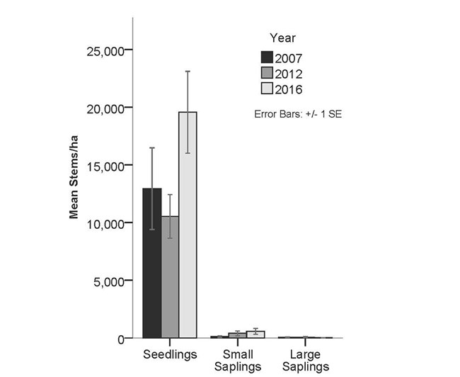 Pea Ridge regeneration. Woody species regeneration by year and type.