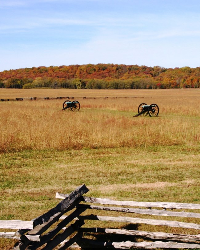 battlefield with cannon