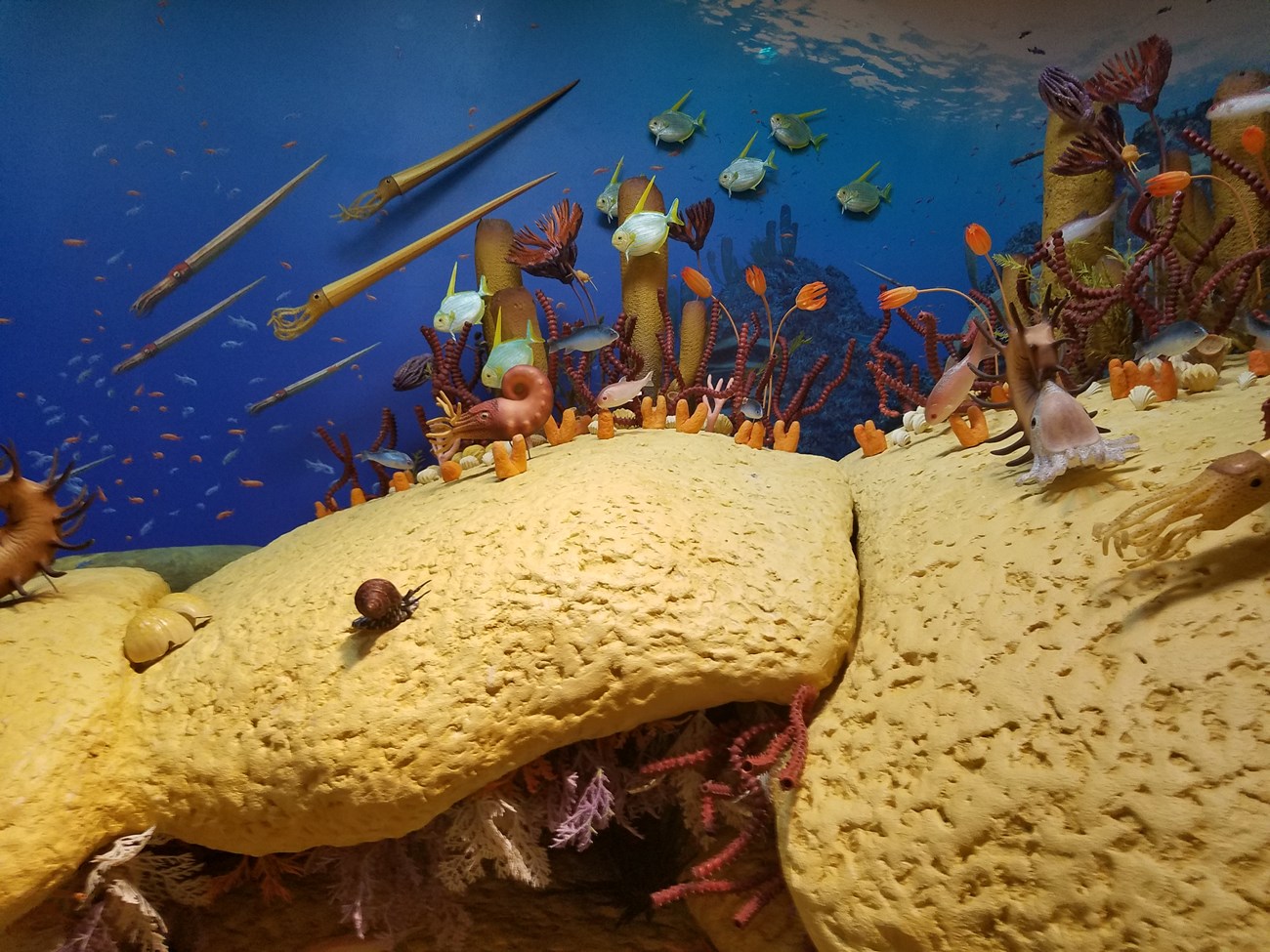 PERMIAN REEF - SMITHSONIAN EXHIBIT