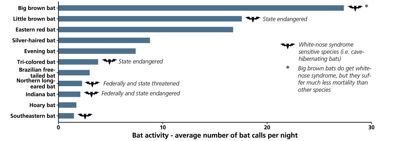 Bar chart showing bat species activity based on the number of recorded bat calls in the park.