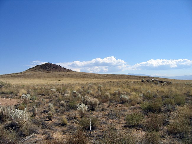 Extensive grassland under a blue sky with hill in the background.