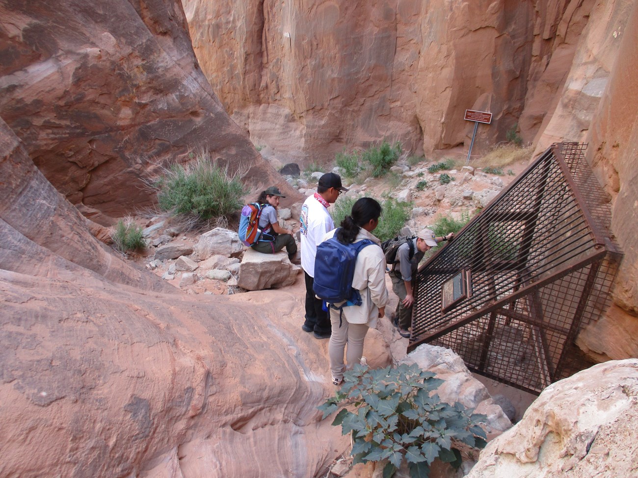 A group of people gather near a caged off area in a canyon