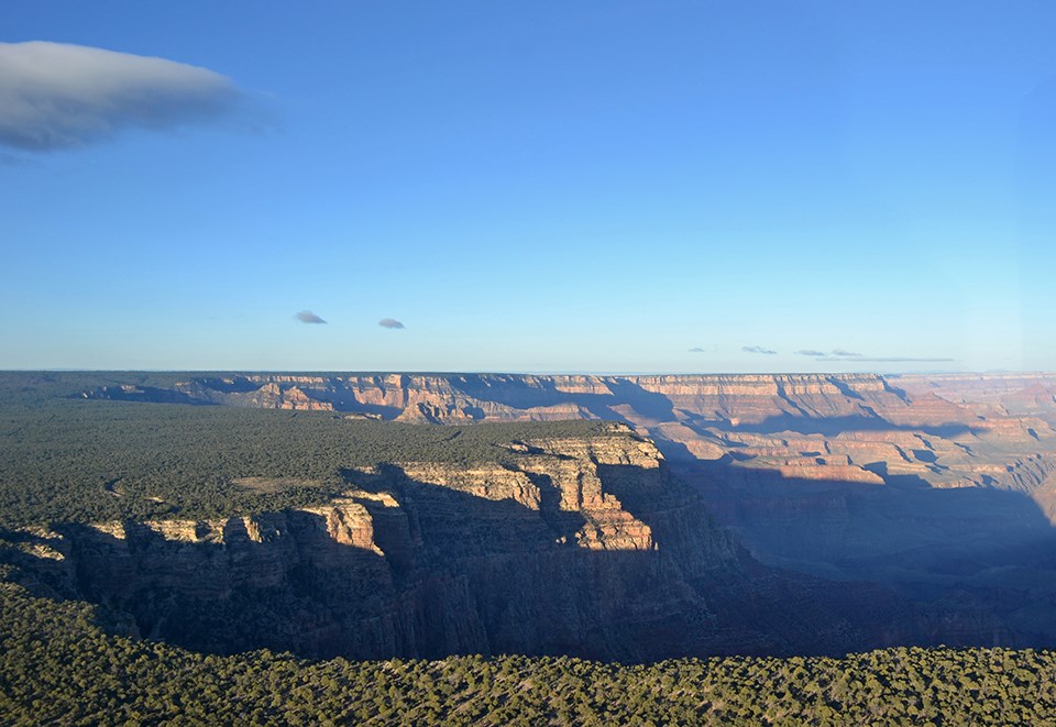 Pinyon-juniper woodlands large canyon with forested rim under a blue sky