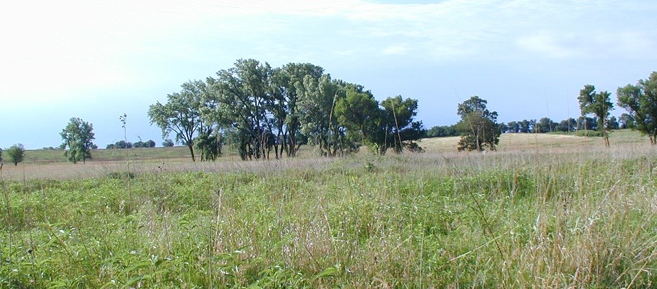 Prairie at Homestead Natl Monument of America
