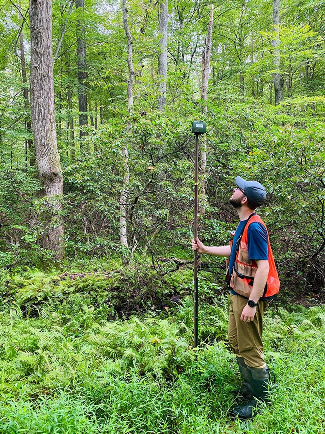 A man standing in a leafy green forest looks up at a small audio detector mounted atop a pole
