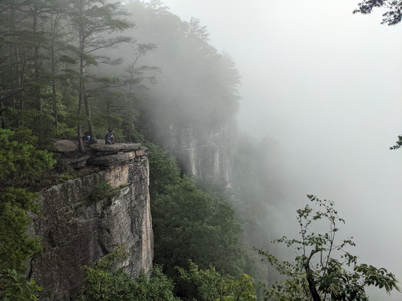 Foggy cliffside A lush cliffside with someone at the top looking out into the foggy distance.