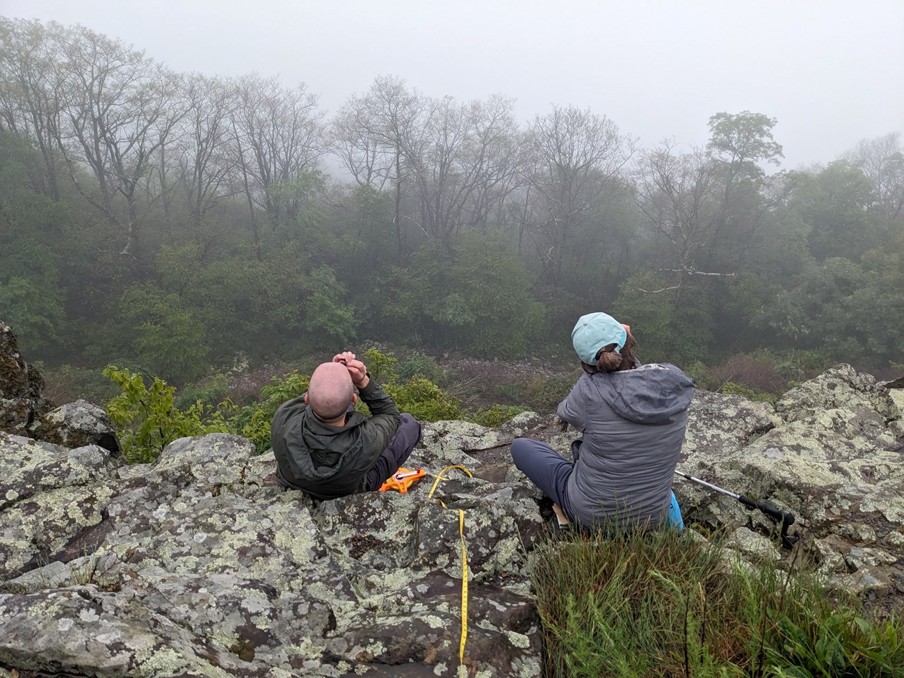 Two people sitting on rock covered in lichens and mosses in front of a foggy forest. They are holding specimens up to their eyes and are sitting next to a measuring tape.