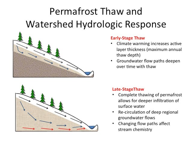 conceptual drawing a diagram titled permafrost thaw and watershed hydrologic response with pictures explaining how water flows downhill over or under soil depending on presence of permafrost