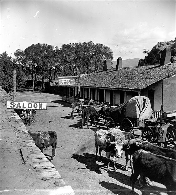 Photo of ox tied to wagon outside of building. Photo of ox tied to wagon outside of building.