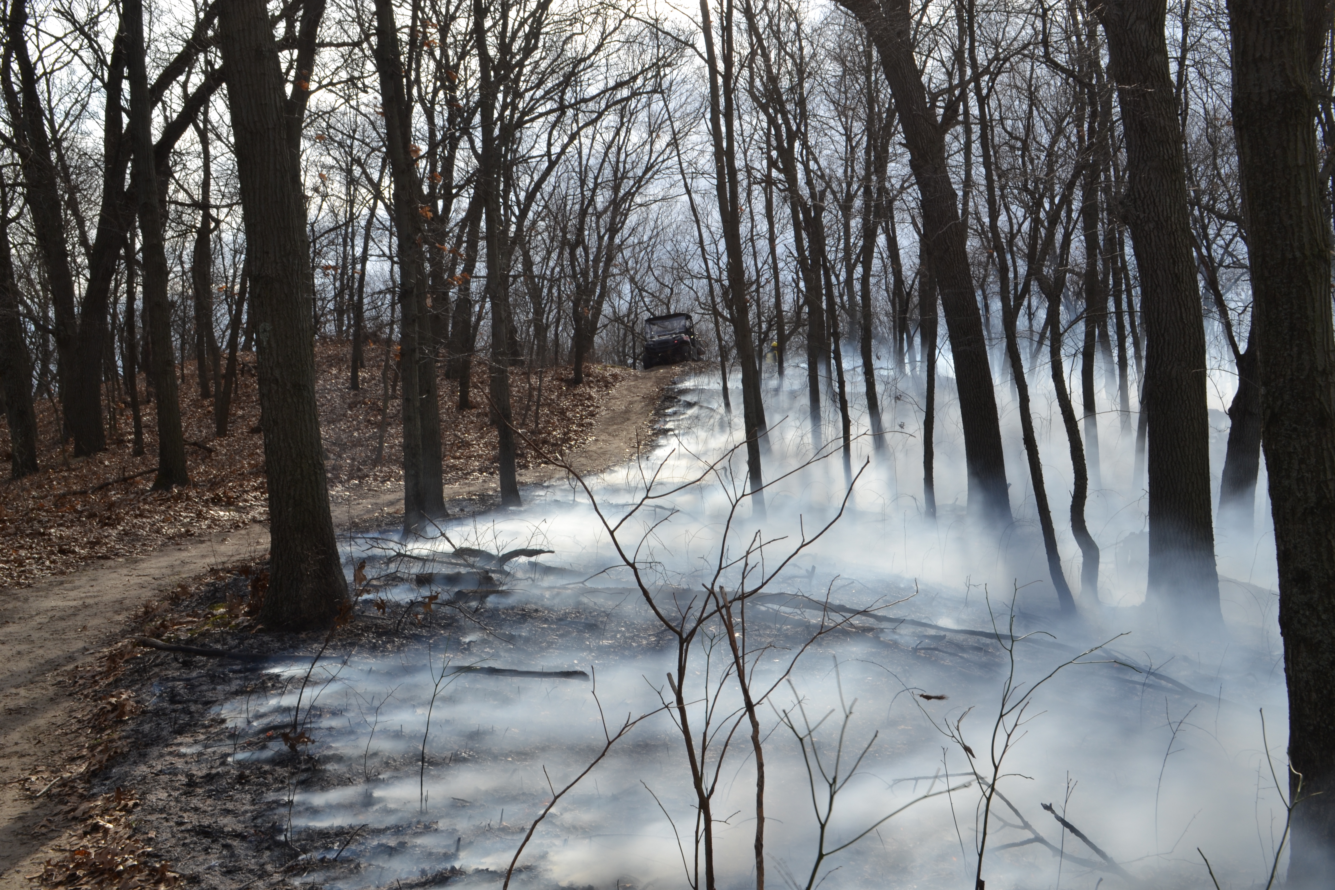 Photo of smoke drifting over fire area