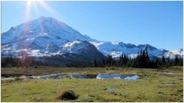 A green wetland with a snowy mountain in the background