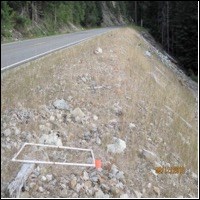 A rocky hillside descending from a road