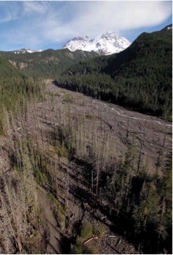 A rocky river basin surrounded by wooded hillsides with a snowy peak in the background