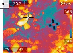 An orange yellow and purple image showing the temperature of various objects in the image