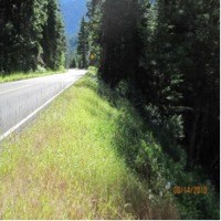 A grassy hillside coming down from a road