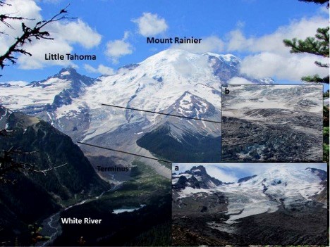 A picture of a snowy peak descending into a forested valley.