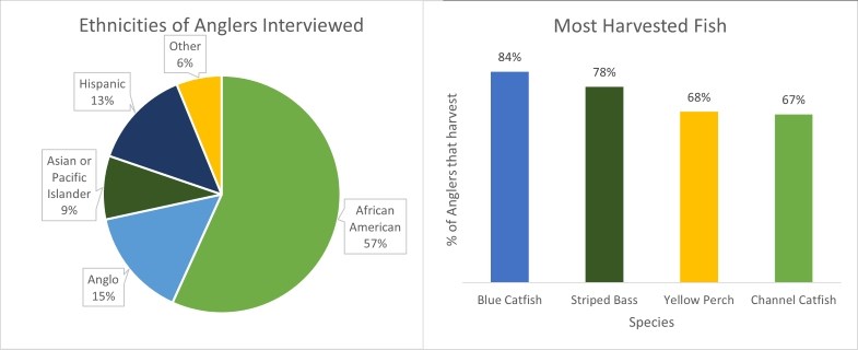 The pie chart (left) shows the ethnicities of interviewees, The bar graph (right) shows the most harvested fish species and the percentage of anglers that harvest them.
