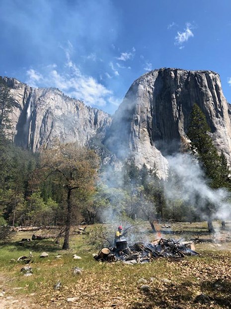 A firefighter tends to a pile of logs and debris burning in a field near a vertical rock face.