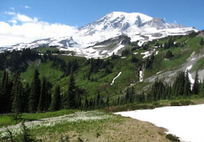 A subalpine meadow partly covered by snow on the side of Mount Rainier.