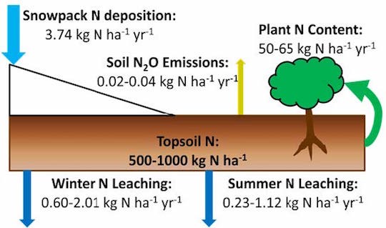 A diagram showing the flow of nitrogen through an ecosystem.