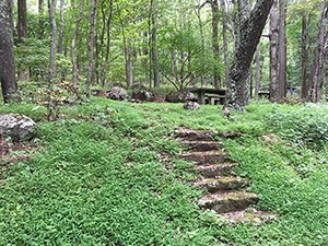 The picnic area at Peaks of Otter. Stone steps lead up to a picnic table nestled in the forest.