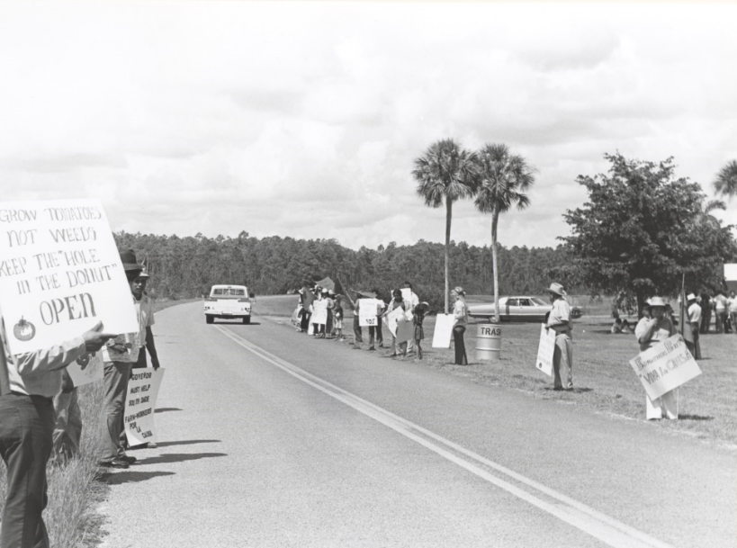 Protesters lined alongside a road with a car driving