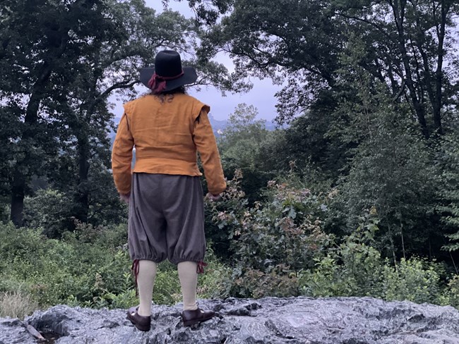A man with brown felt hat, gold coat, grey breeches, and white stockings stands with his back facing us, looking out over a wooded vista