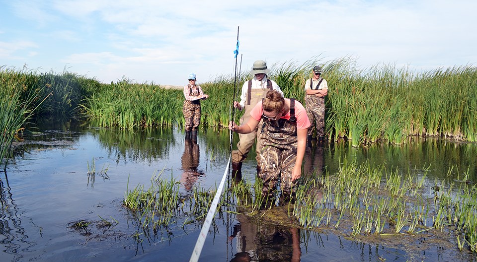 Four researchers wearing waders standing in water holding a clipboard, a measuring tape, and a pole