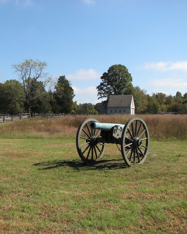 cannon in field
