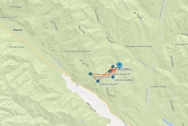 Map with a cluster of points representing five days of a Clark's nutcracker's movements