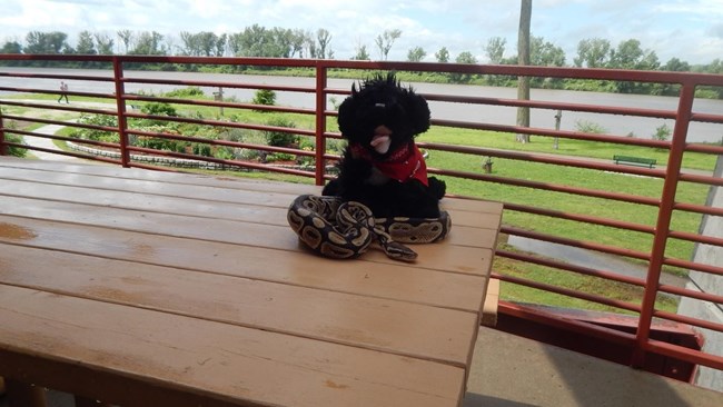 RNC3 toy dog near snake with river in the background