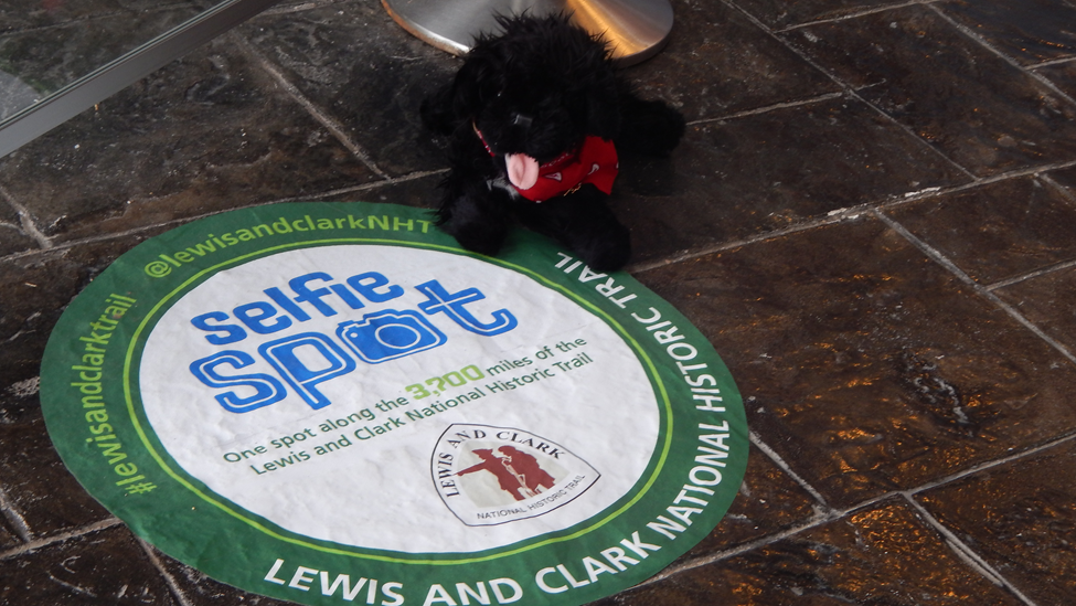 RNC7.1 toy dog near selfie spot
